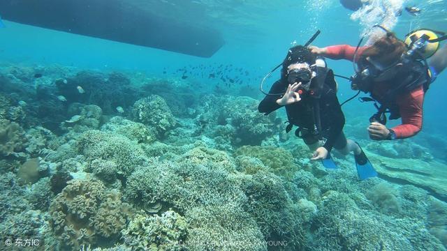河南正阳农商银行召开2024年安全生产专题会